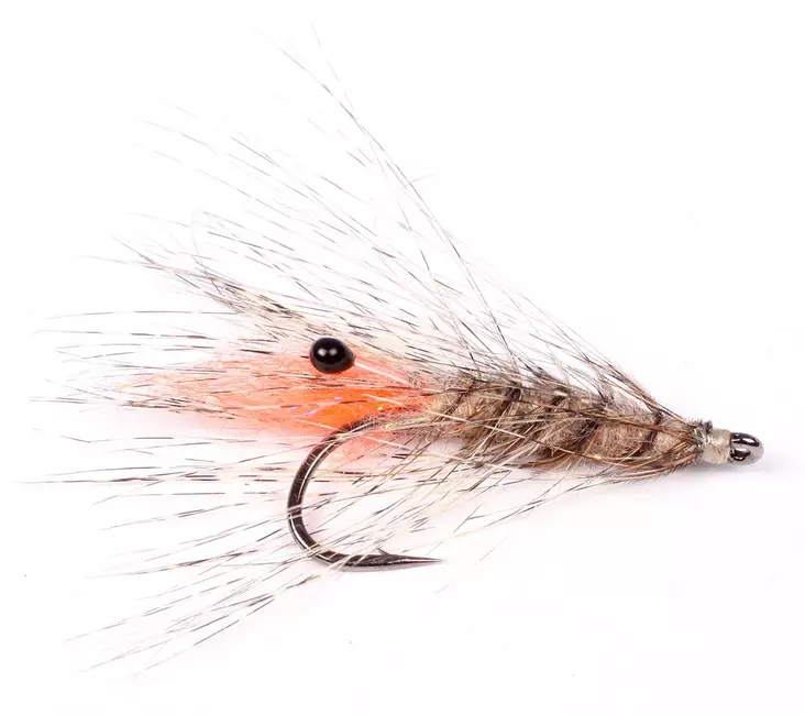Laser Shrimp - Kräfträkor - 7033840131439 - 2