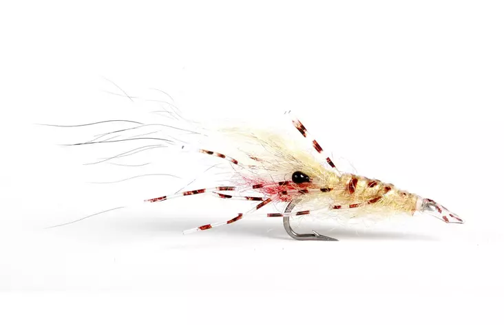 Leoshrimp Tan - Kräfträkor - 7033840130319 - 1