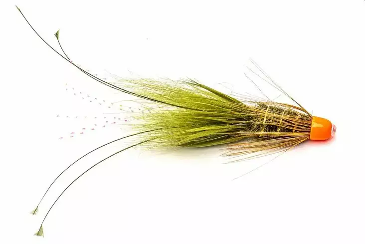Olive Frances Fl. Orange Conehead - Tubflugor - 8859202536549 - 1