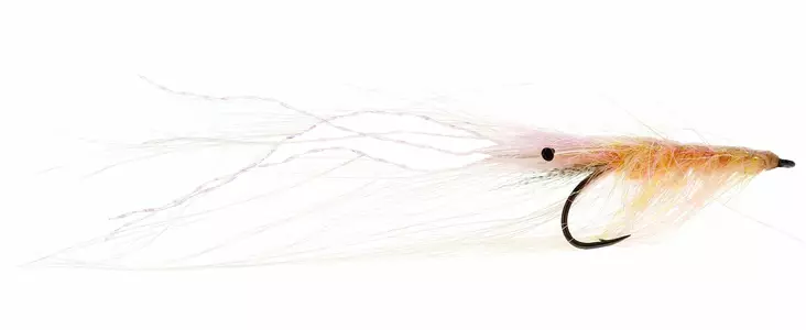 Pattegris Salmon - Kräfträkor - 5707549438329 - 1