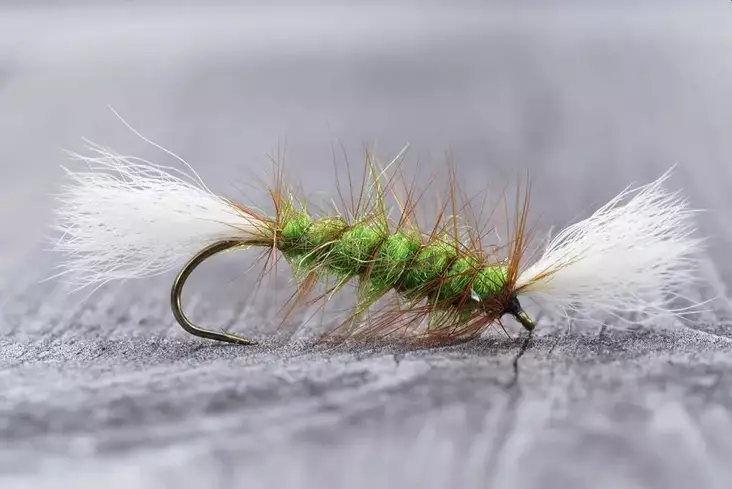 Pompero Highlander Green - Övriga laxflugor - 8859202536259 - 1