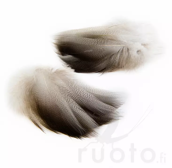 Wapsi Bronze Spey Mallard - Klassiska fjädrar - 053526048049 - 1