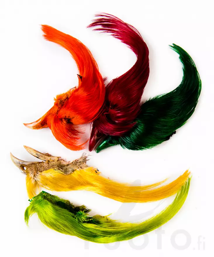 Wapsi Golden Pheasant Crest - Skinn, vingar och huvud - 404001000009 - 1