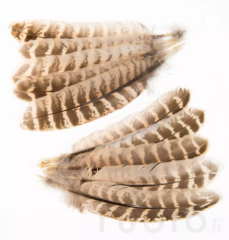 Hen Pheasant Wing Quills - Övriga fjädrar - 5056304604593 - 1